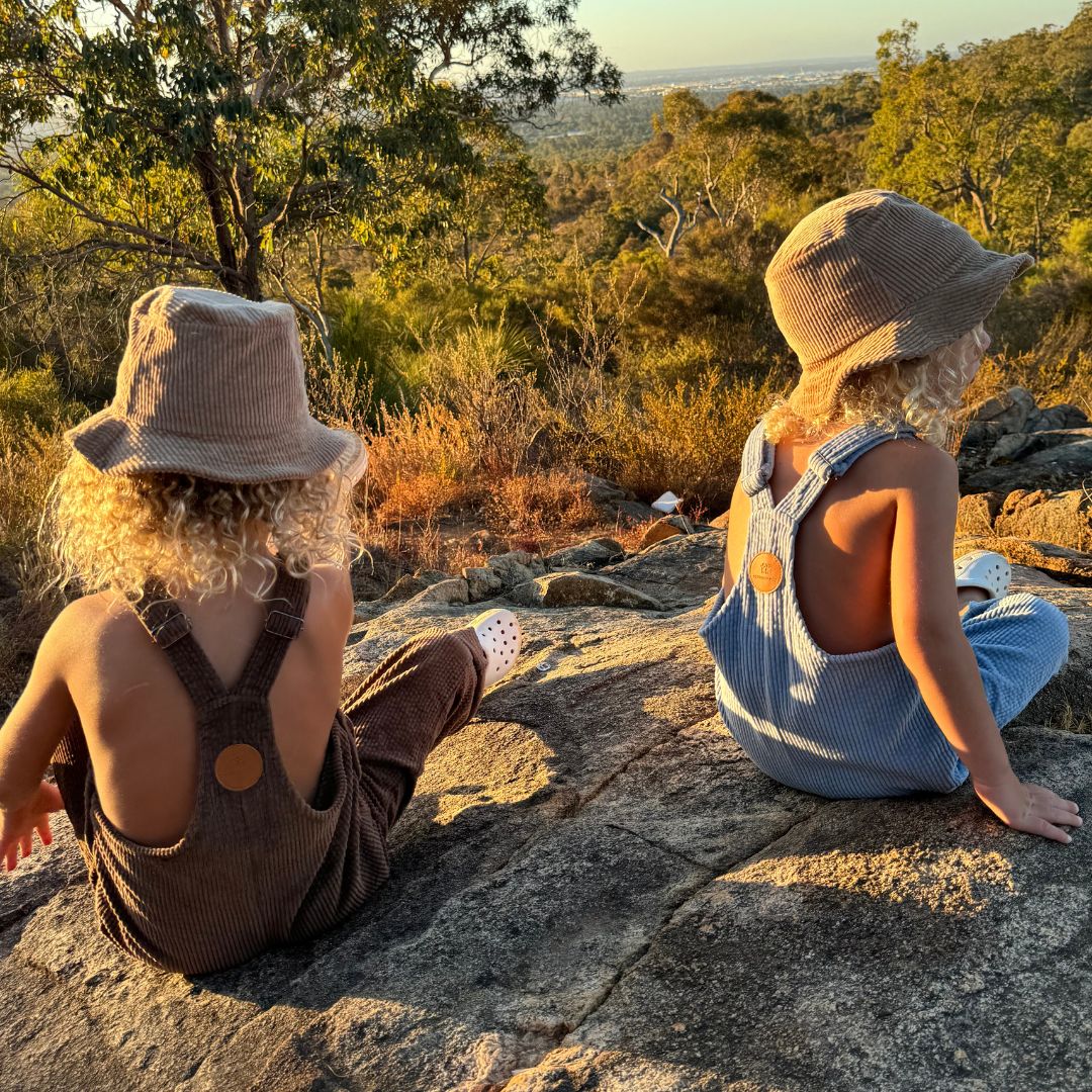 kids wearing their brown and blue Kids and toddlers corduroy overalls or dungarees on a rock with a epic back drop of the horizon
