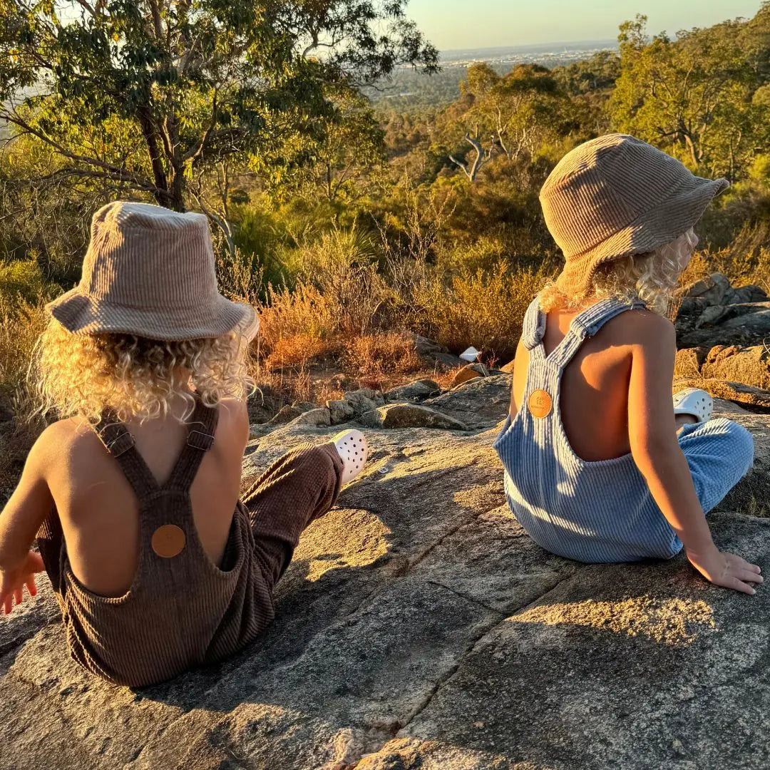 boys wearing their brown and blue Kids and toddlers corduroy overalls or dungarees on a rock with a epic back drop of the horizon