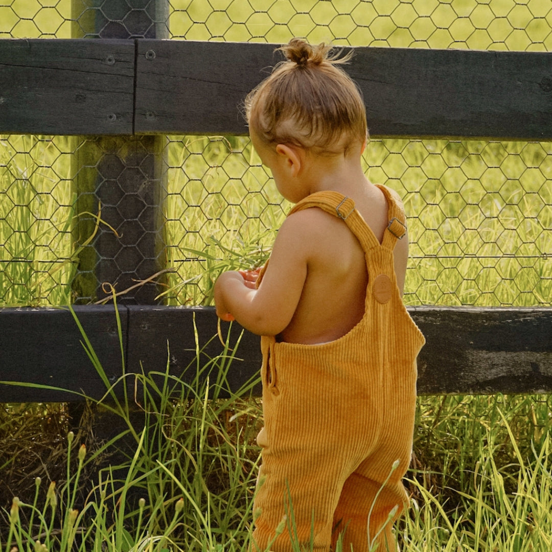 organic cotton corduroy long leg overalls in a orange for kids, toddlers and infants rear view