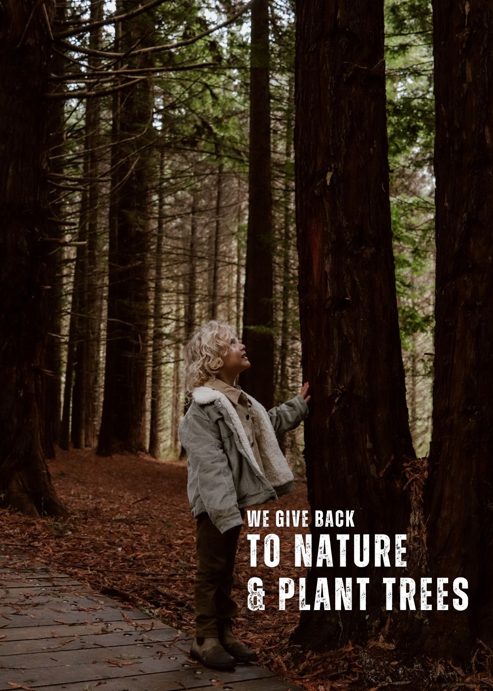 organic corduroy sherpa fleece jacket a boy is wearing looking up at a tree