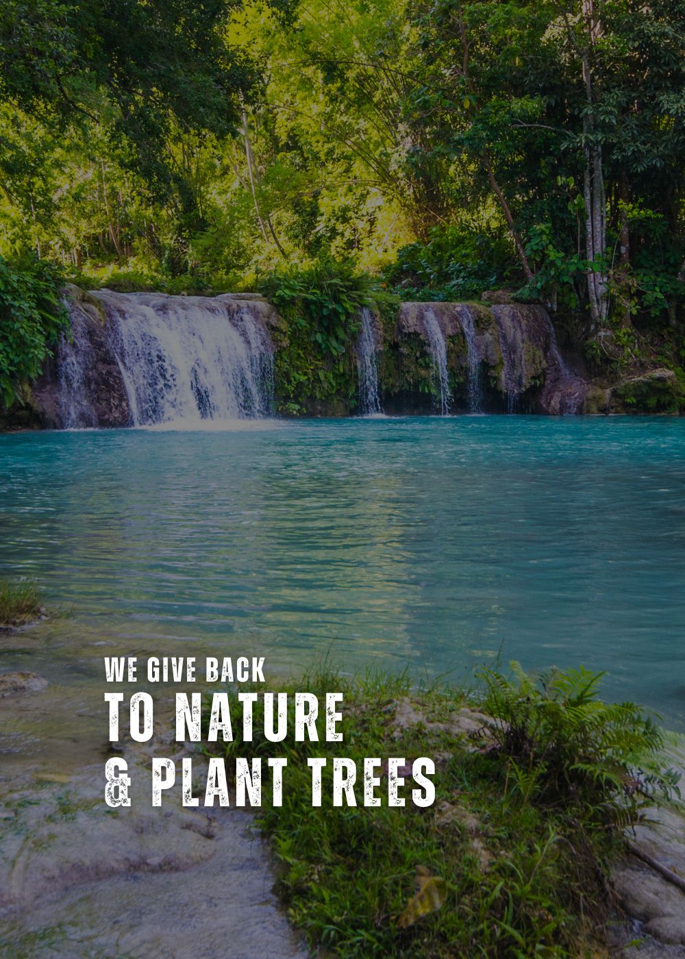 we plant trees and give back to nature at korduroy kidz mobile image